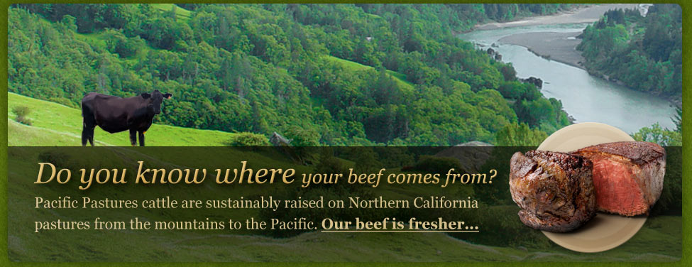 Enjoy Pacific Pastures 100% Grass Fed Natural Beef from Northern California